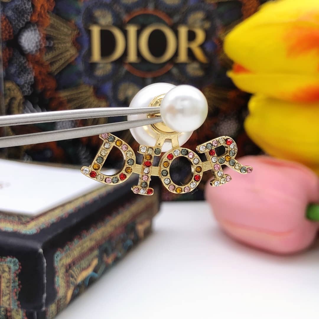 Wholesale Chr1st1an D10r Logo Earring