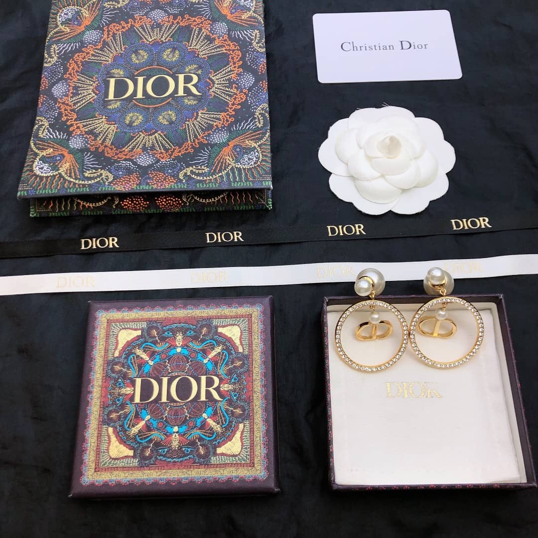Fake Chr1st1an D10r Logo Earring