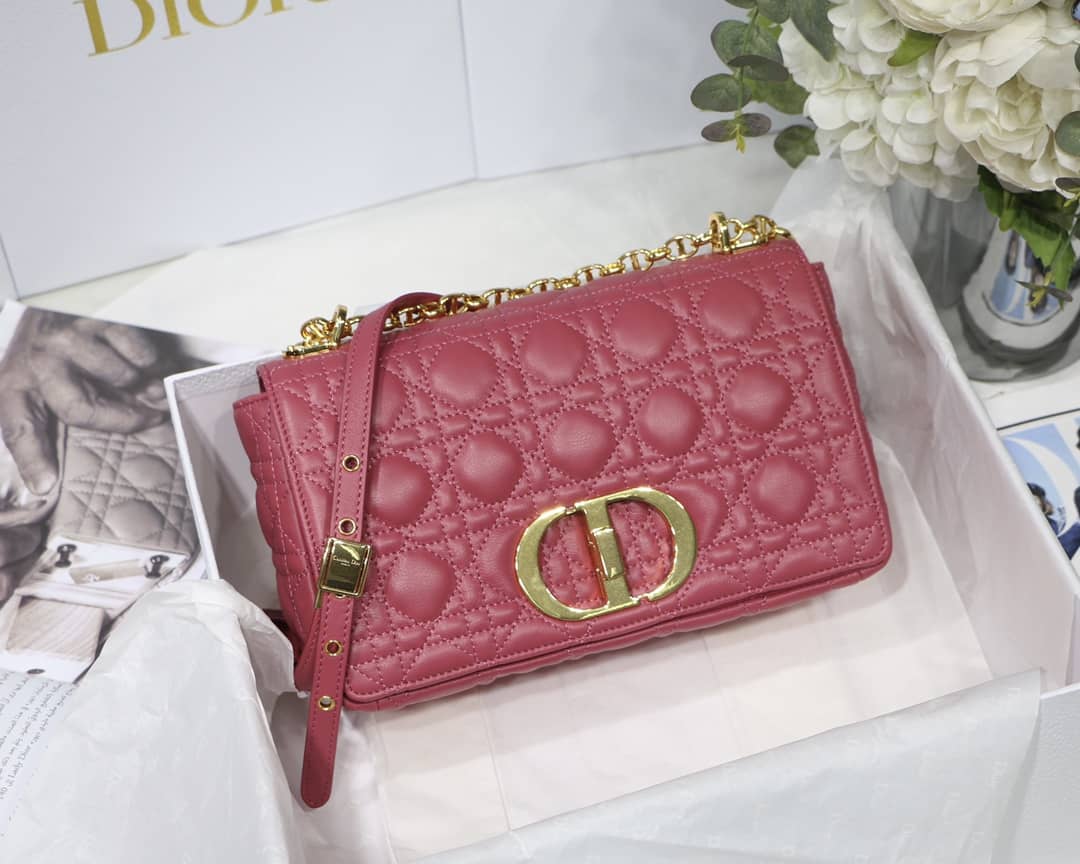 D10r Dupe Caro Bag