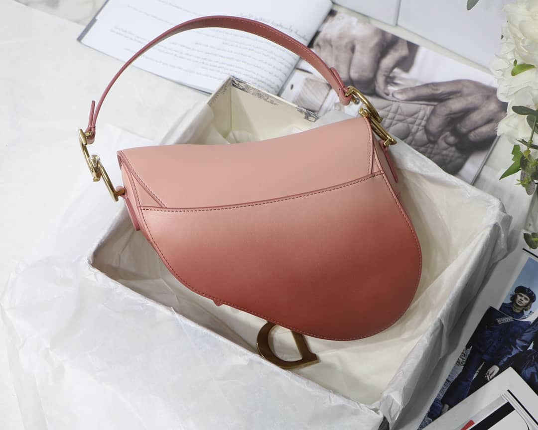 D10r Saddle Bag Dupe 25.5CM