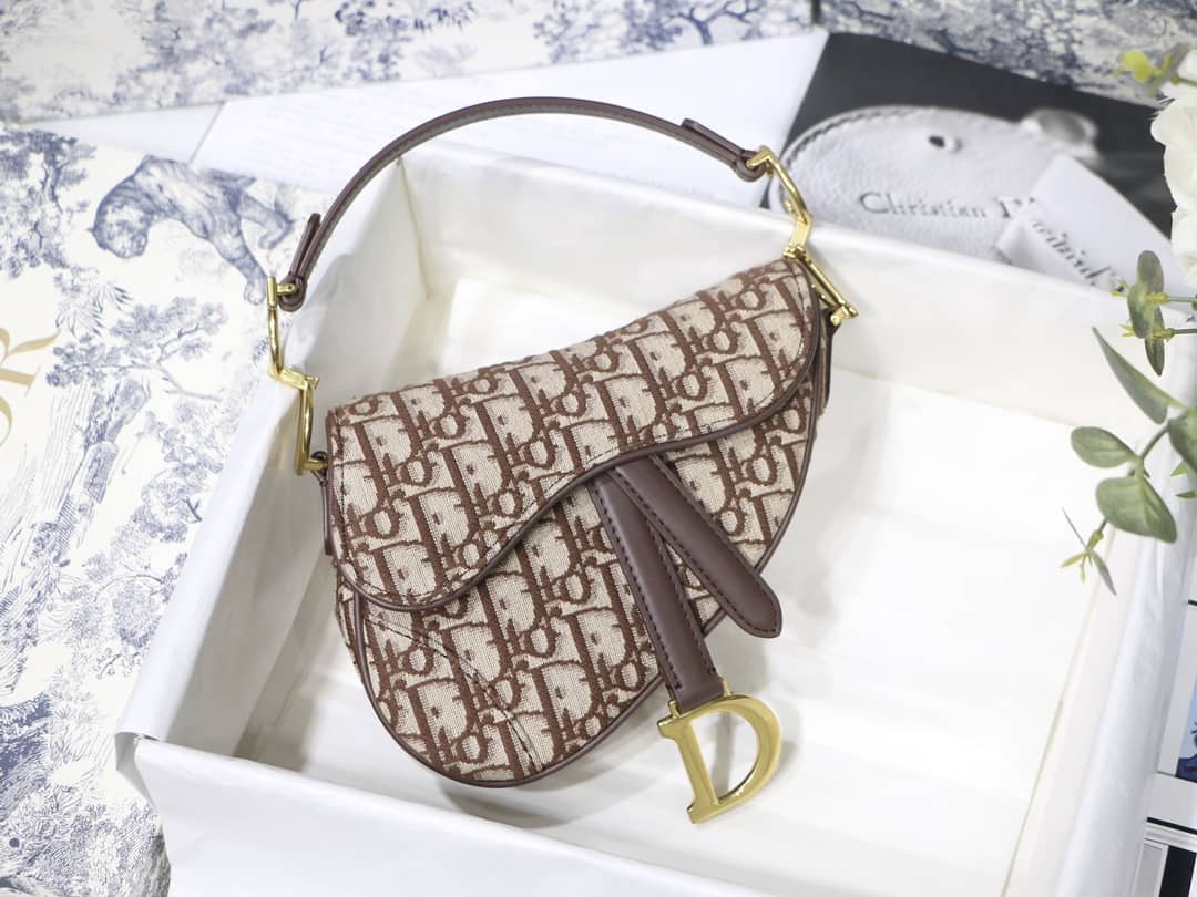Chr1st1an D10r Replica Saddle Bag