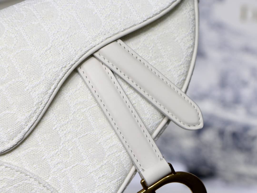 Chr1st1an D10r Replica Saddle Bag