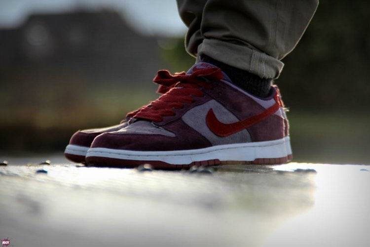 Dunk Low Retro Vol. 1 SP  Plum  Cu1726-500