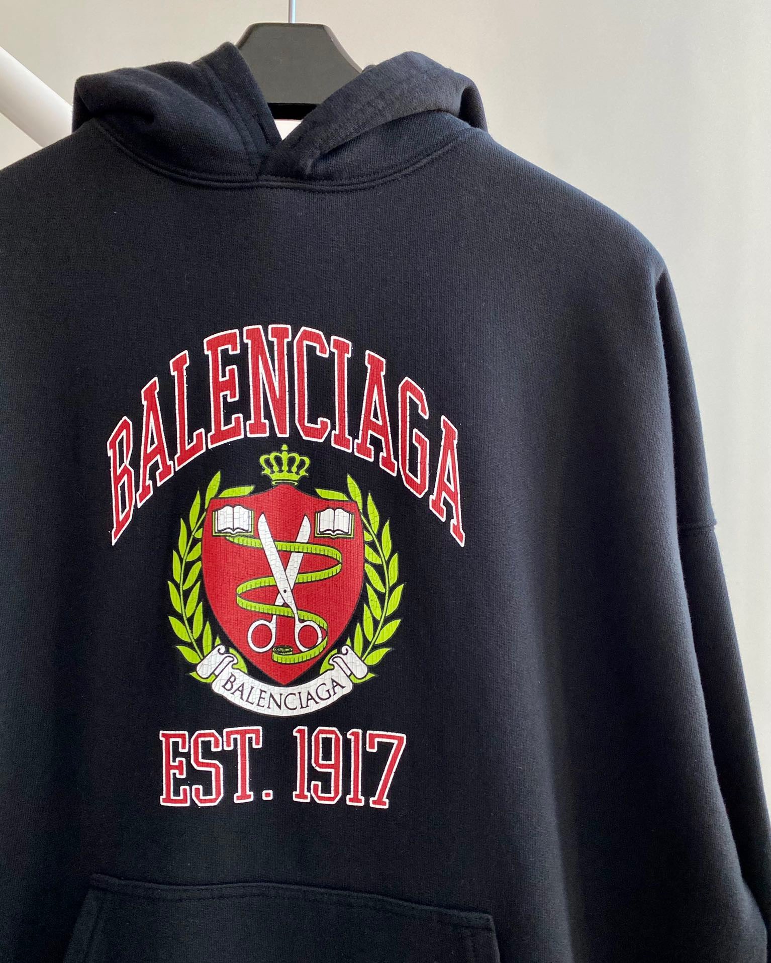 Ba1en*iaga Hoodie