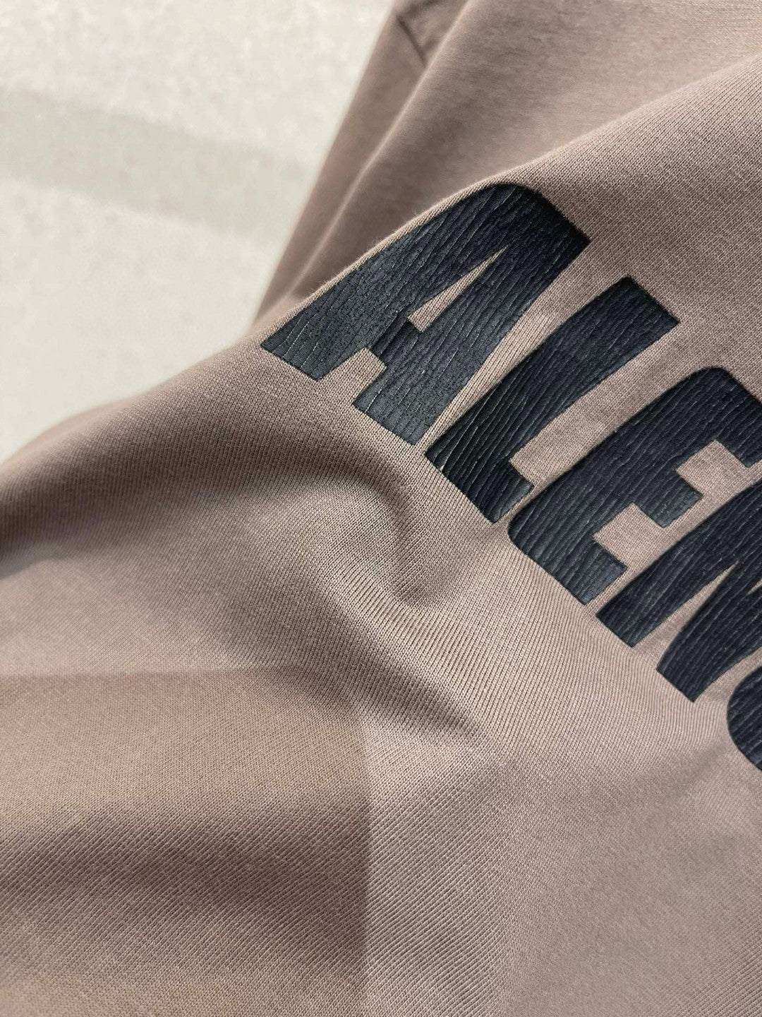 Ba1en*iaga T-shirt