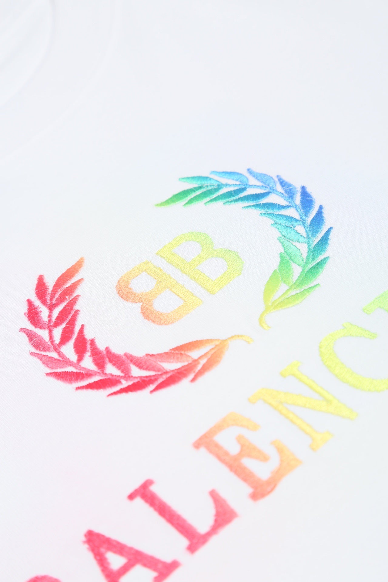 Ba1en*iaga T-shirt