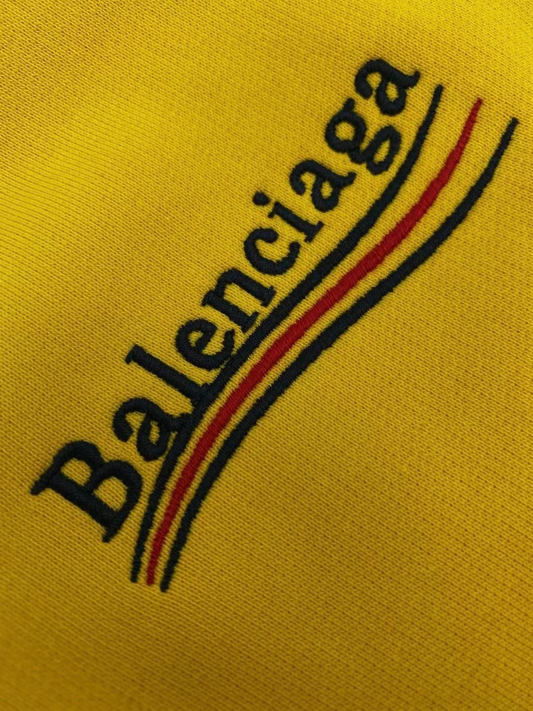 Ba1en*iaga Hoodie