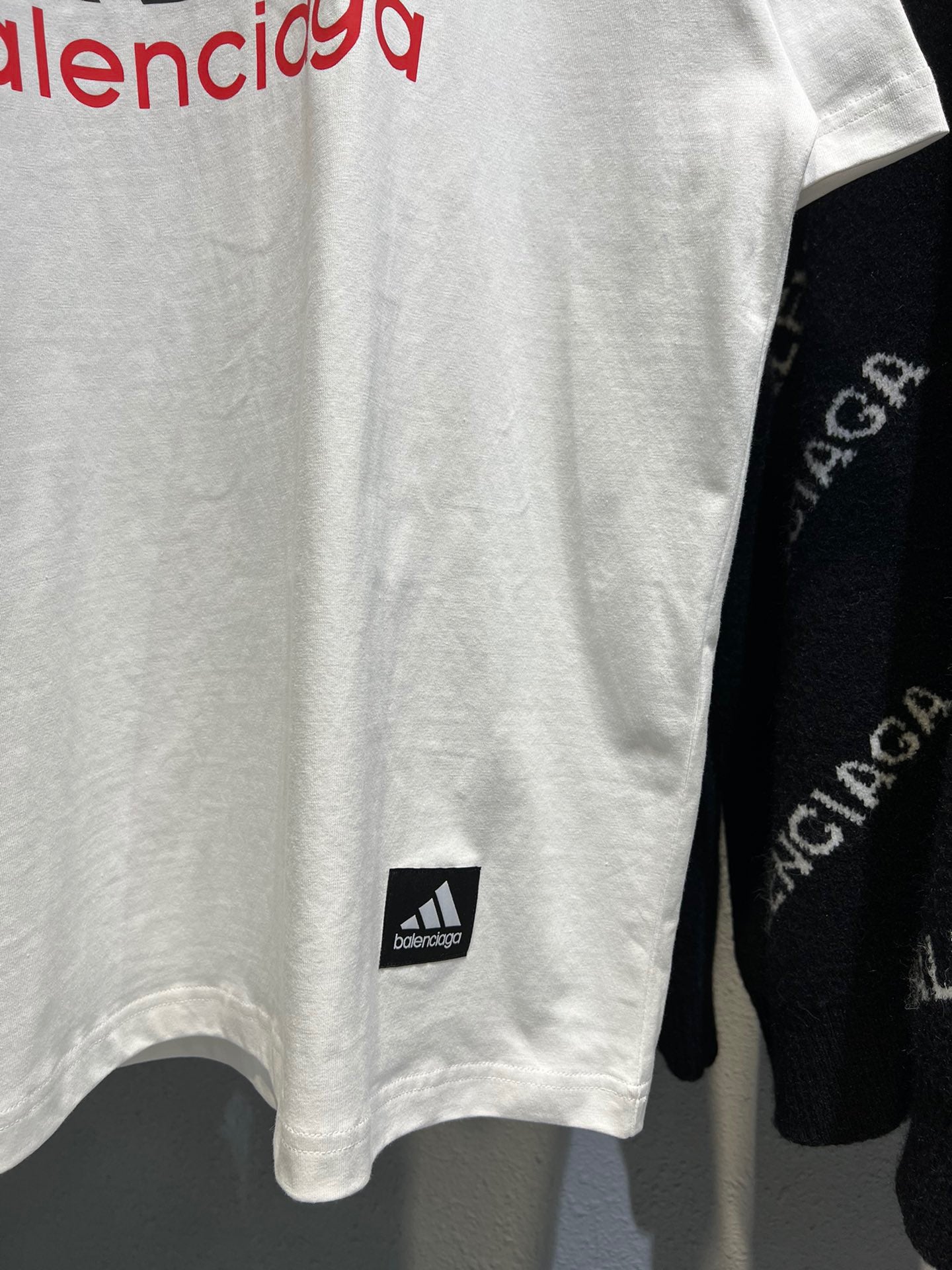 Ba1en*iaga T-shirt