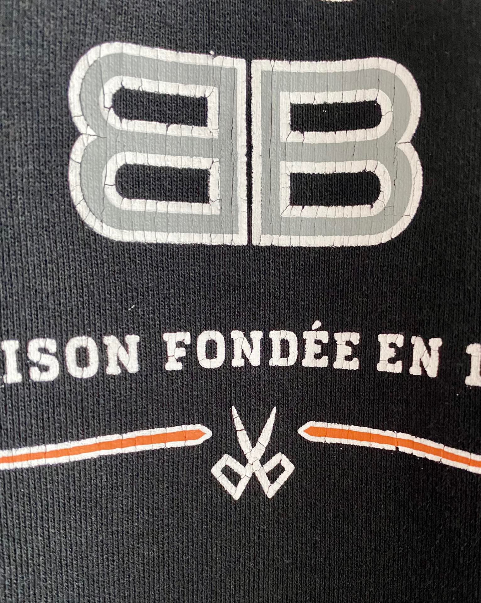 Ba1en*iaga Hoodie