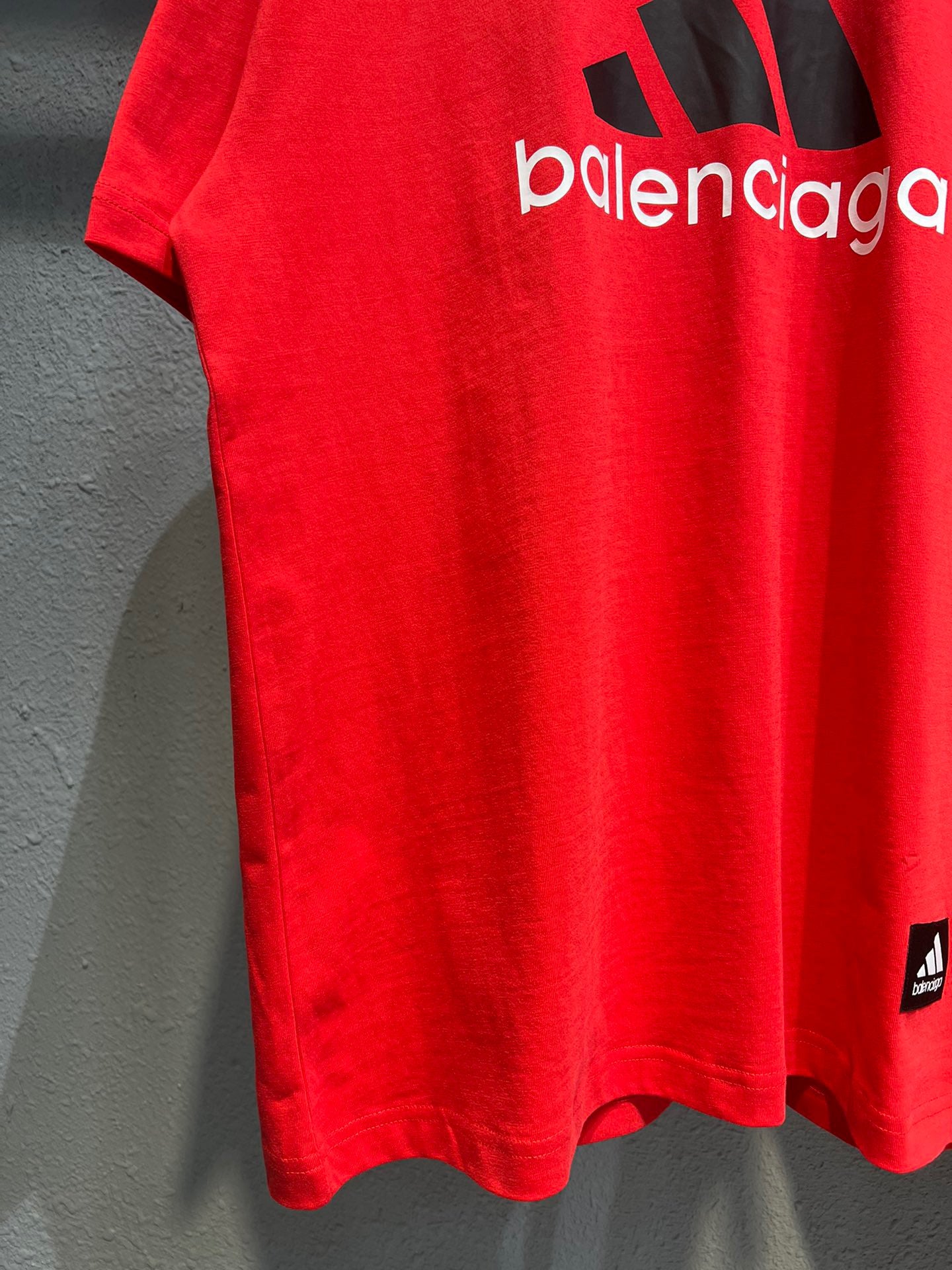 Ba1en*iaga T-shirt