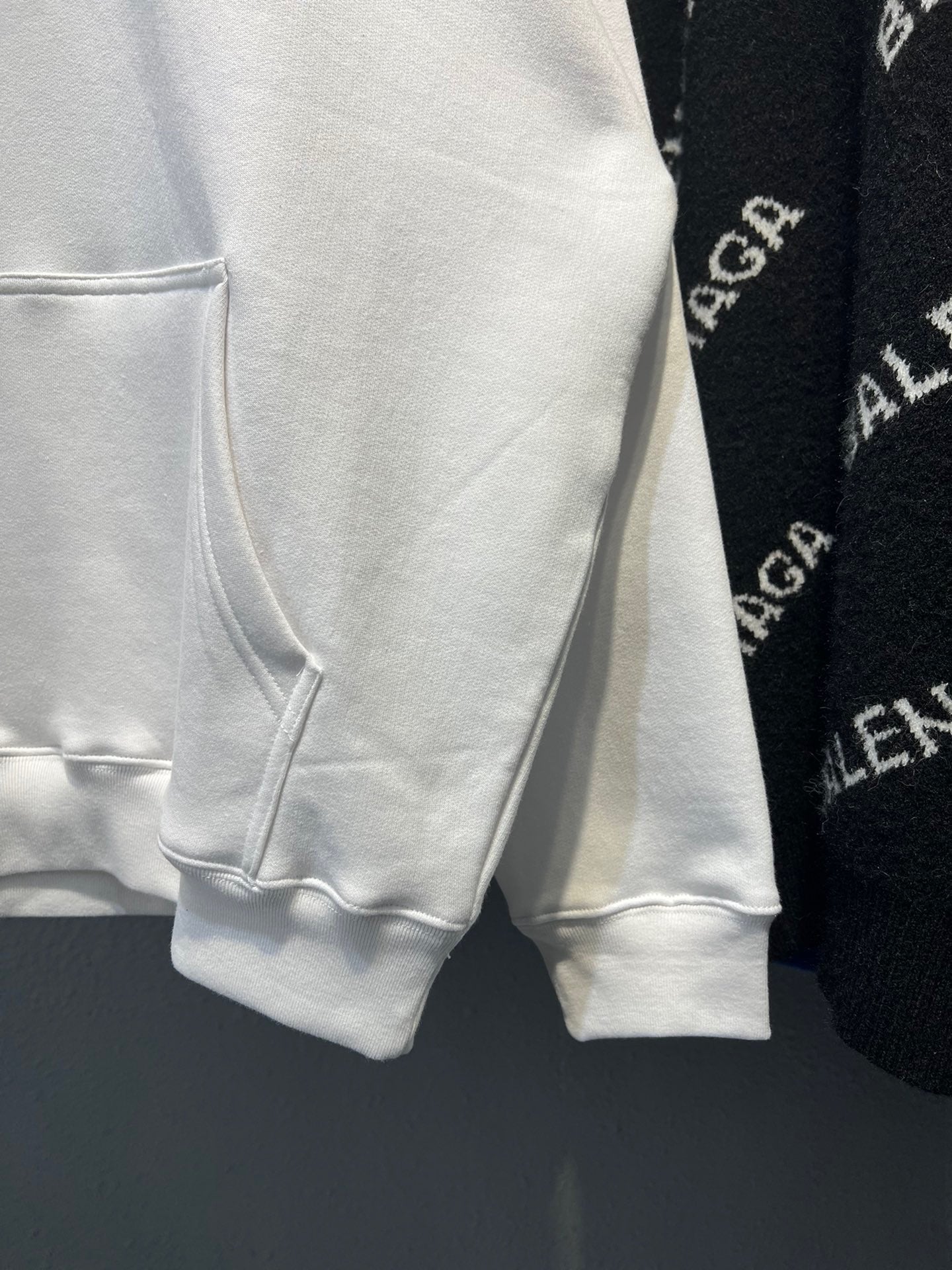 Ba1en*iaga Hoodie