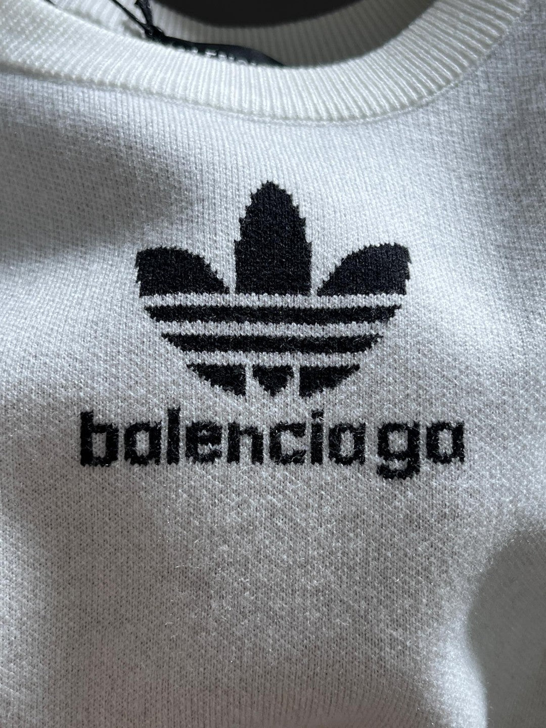Ba1en*iaga Sweatshirt