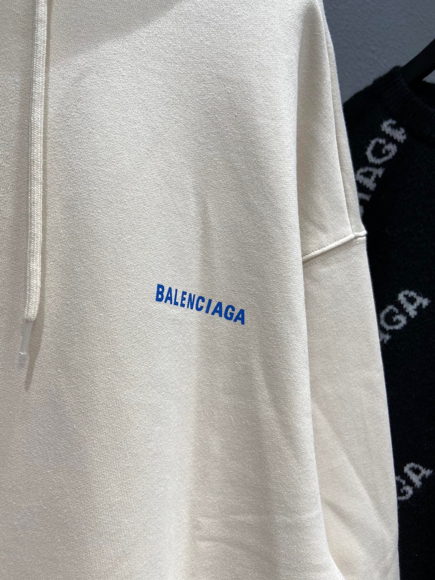 Ba1en*iaga Hoodie