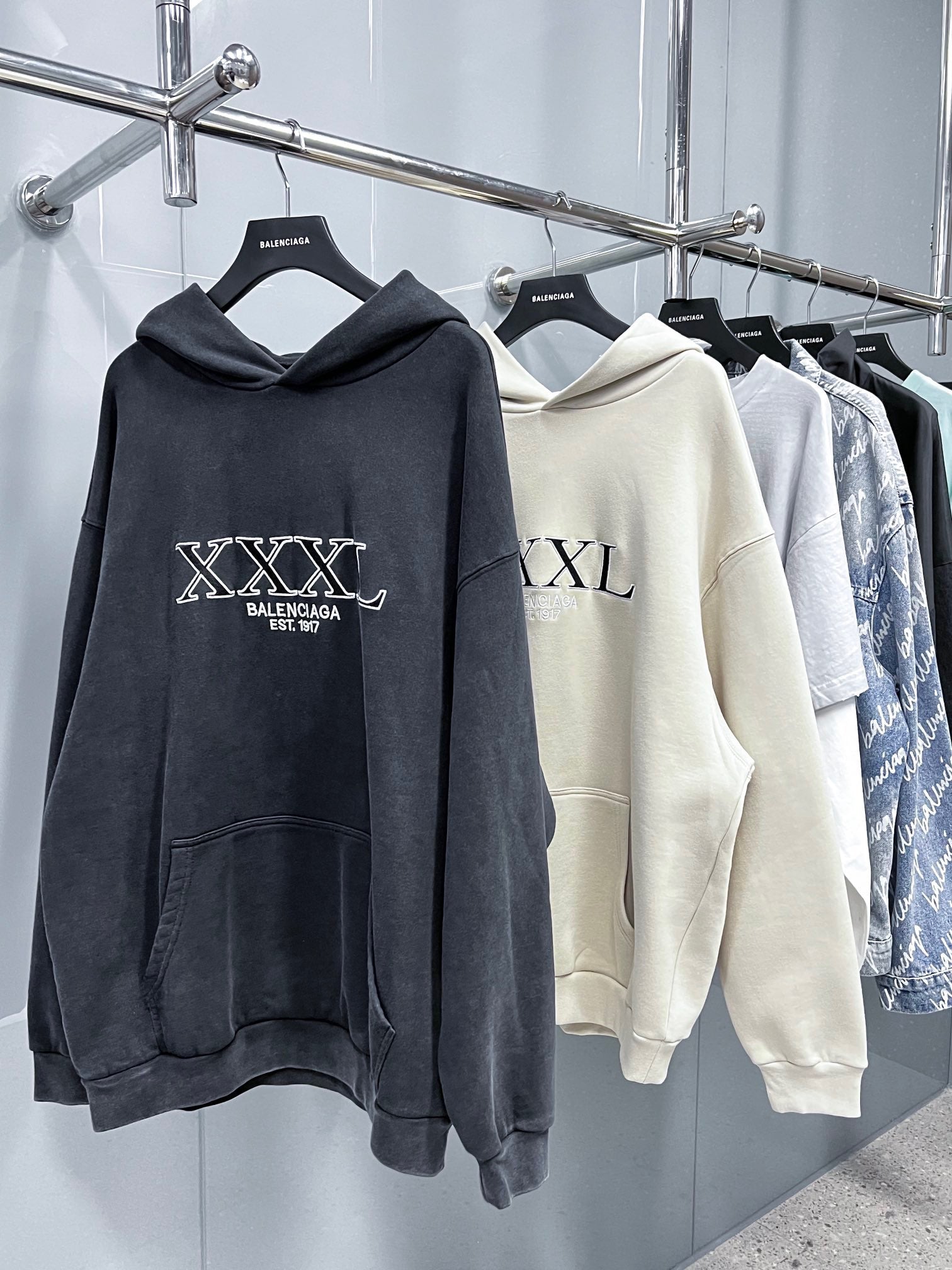 Ba1en*iaga Hoodie