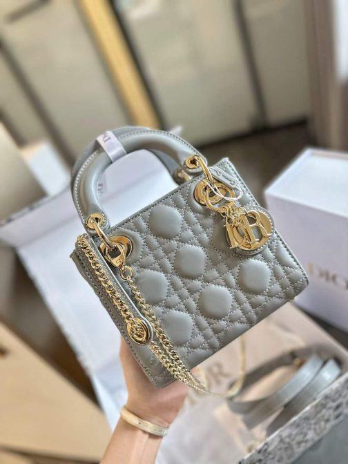 D10r Lady gray bag small size