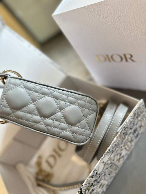 D10r Lady gray bag small size